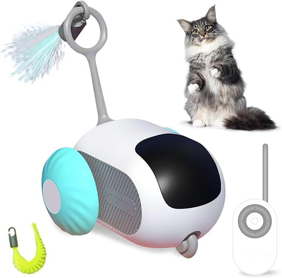 Smart Remote Control Pet Toy + (FREE Reflective Collar worth (Rs 249/-)